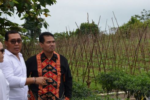 Dukung Peningkatan Produksi Cabai, Kementan Bagikan Benih Cabai di Riau