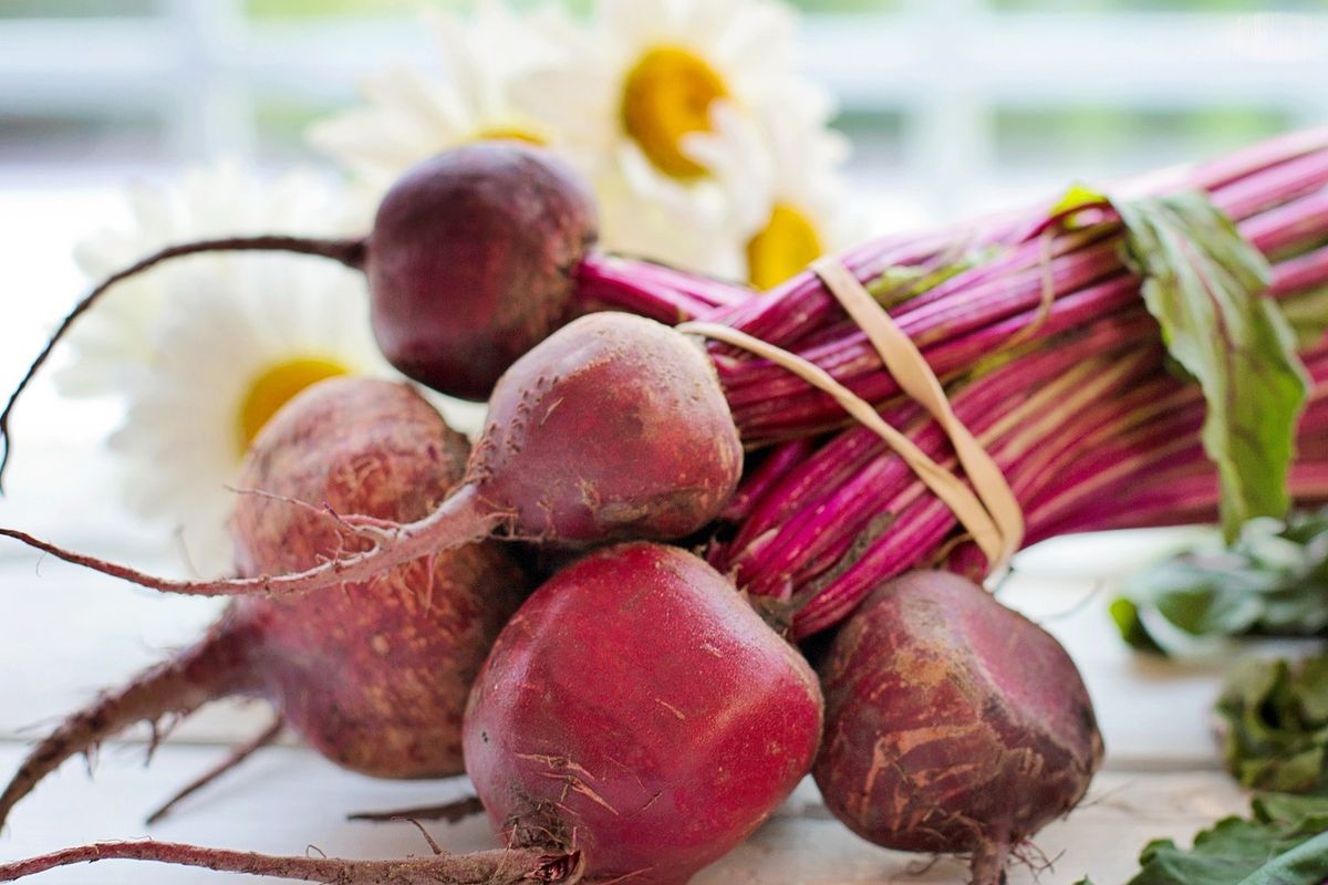 Ilustrasi buah bit, buah bit merah.
