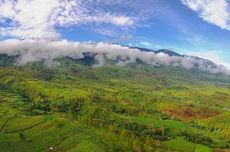 Taman Nasional Gunung Leuser: Sejarah, Flora dan Fauna, hingga Tempat Wisata di Dalamnya