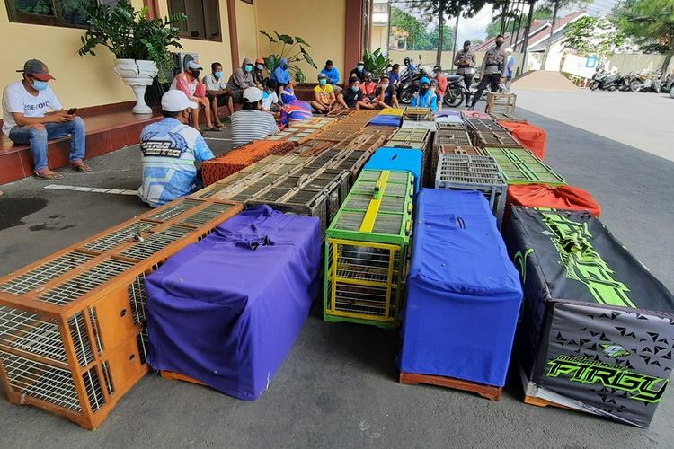 Kapolresta Tasikmalaya AKBP Doni Hermawan, memimpin langsung penertiban warga berkerumun nekat melaksanakan kontes latihan turnamen merpati aduan saat PPKM Darurat diberlakukan di Jalan Sewaka, Kawalu, Kota Tasikmalaya, Senin (5/7/2021).