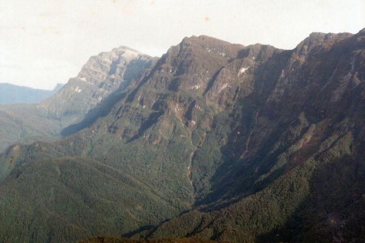 Lanskap Gunung Mandala, Pegunungan Bintang, Papua.
