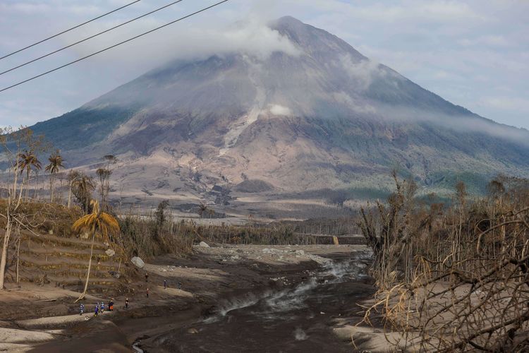 Tim SAR gabungan menyusuri jalur material guguran awan panas Gunung Semeru saat operasi pencarian korban di Desa Curah Kobokan, Kecamatan Candipuro, Lumajang, Jawa Timur, Selasa (7/12/2021). Berdasarkan data Badan Nasional Penanggulangan Bencana (BNPB) per Senin (06/12) pukul 20.15 WIB, setidaknya 22 orang tewas, sementara 22 orang dinyatakan hilang dan 56 lainnya mengalami luka-luka. Erupsi juga berdampak terhadap 5.205 jiwa.