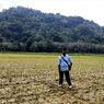 Alsintan Bantu Petani Karangasem Tingkatkan Produktivitas