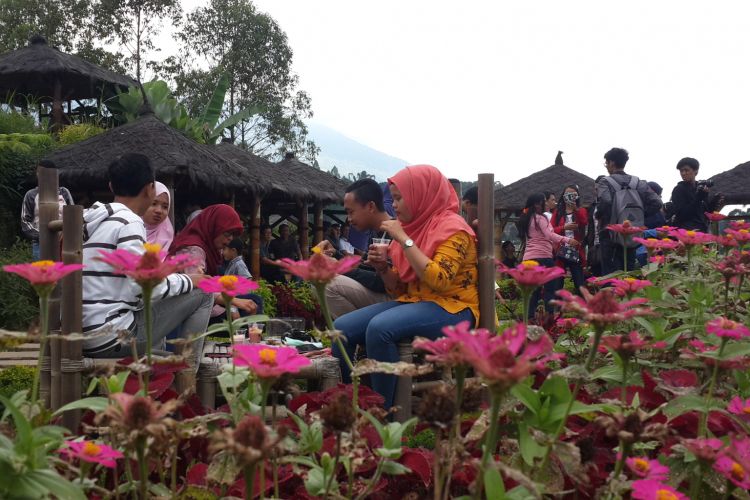 Sejumlah wisatawan saat berkuliner di Kafe Sawah, Desa Pujon Kidul, Kecamatan Pujon, Kabupaten Malang, Jawa Timur, Minggu (14/5/2017).