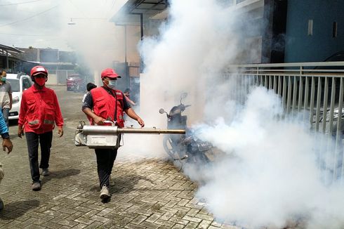 3 Anak di Jember Terjangkit DBD, PMI Lakukan Pengasapan