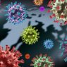DKI Jakarta Catat 316 Kasus Varian Baru Virus Corona, Delta Paling Mendominasi