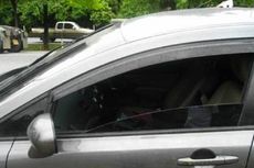 Gurunya Lupa, Bocah 5 Tahun Tewas Terkunci 8 Jam Dalam Mobil