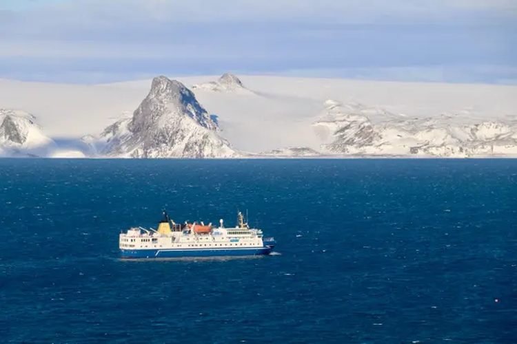 Pertama Kalinya, Wanita Chile Berenang Sejauh 1,55 Mil di Dinginnya Perairan Antartika