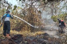 Ratusan Hektar Kebun Sagu, Karet dan Kelapa di Meranti Terbakar Akibat Karhutla