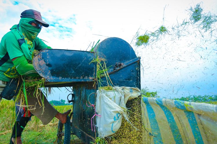 Penggunaan mesin perontok mempercepat proses panen dan menjadi bagian dari upaya Kementan meningkatkan produktivitas pertanian nasional.