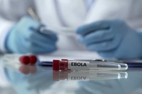 Kembali Merebak di Kongo, Berikut Beda Virus Ebola dengan Corona...