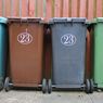 Iseng Perbesar Google Maps, TikToker Ini Malah Temukan Anak Terjebak di Tempat Sampah