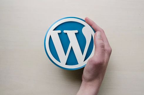 Situs Web Berbasis Wordpress Bakal Ditampilkan Lebih Cepat