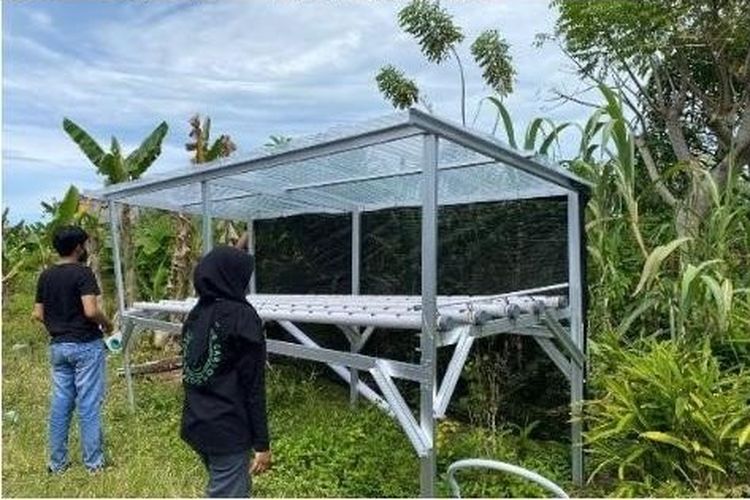 Rumah hidroponik dari Tim KKN Kelompok 1C ITK untuk membantu petani RT 38 Kelurahan Manggar, Kecamatan Manggar, Balikpapan Timur, Kalimantan Timur.