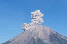 Penjelasan PVMBG soal Gunung Semeru Meletus pada Awal Tahun, Bukan Akhir Tahun