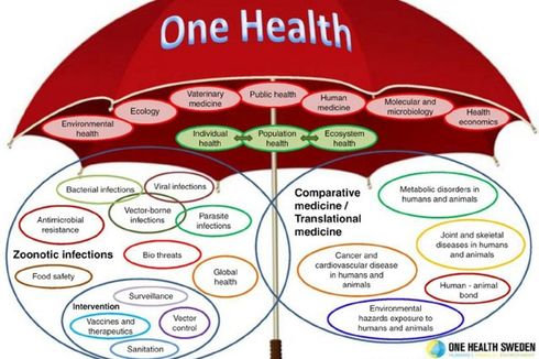 One Health, Satu Solusi untuk Semua