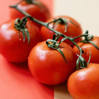 Ilustrasi tomat, buah tomat. 
