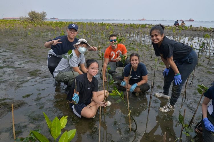 Salah satu cara siswa JIS mempelajari lingkungan hidup, terjun langsung ke lapangan untuk belajar ekosistem sekaligus menanam pohon bakau di kawasan pantai utara Jakarta