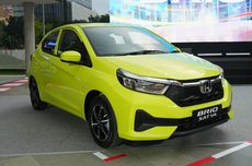 10 Tempat Terburuk Menanam Tomat, Bisa Layu dan Gagal Panen