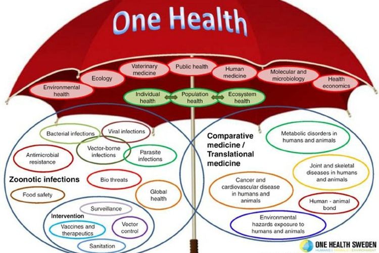 One Health Umbrella dikembangkan oleh One Health Swedia dan One Health Initiative untuk ilustrasi cakupan konsep 