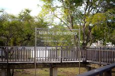 Museum Niang Komodo NTT: Aktivitas, Jam Buka, dan Tiket Masuk