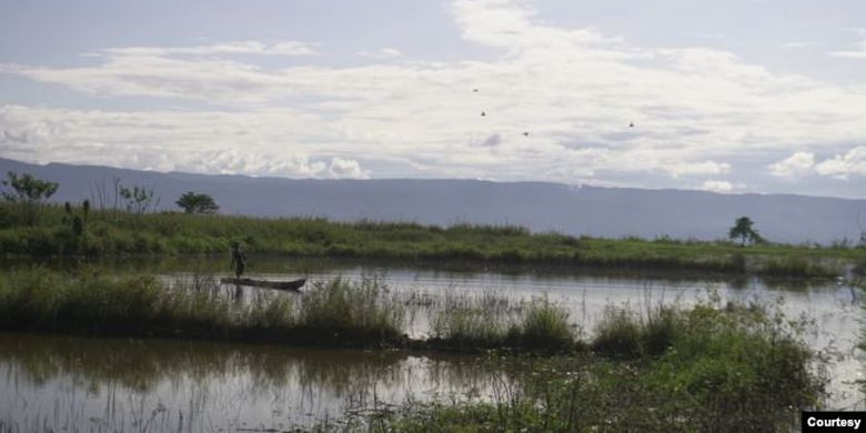 Persawahan di desa Meko, kecamatan Pamona Barat yang terendam air danau Poso sehingga tidak dapat diolah oleh petani di desa tersebut. Jumat, 6 November 2020