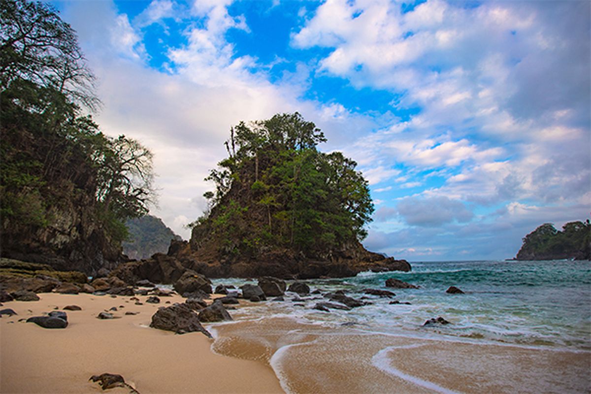 Pantai Teluk Hijau di Taman Nasional Meru Betiri Banyuwangi