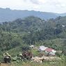 Wisata di Hutan Enau Flores Barat NTT, Belajar Manfaat Aren