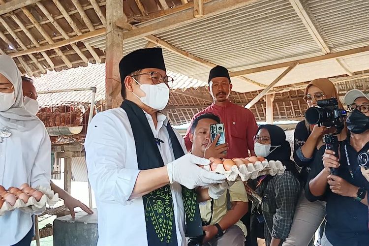 Calon wakil presiden (cawapres) nomor urut 1, Muhaimin Iskandar (Cak Imin) saat memanen telur ayam di sentra peternakan ayam petelur di Desa Dadaplangu, Kecamatan Ponggok, Kabupaten Blitar, Jawa Timur pada Kamis (11/1/2024).