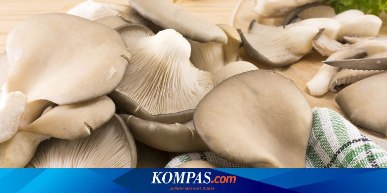 Ilmu yang mempelajari tentang jamur