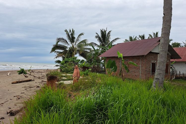 Abrasi parah terjadi di Bengkulu akibatkan nelayan, perempuan kehilangan pekerjaan serta anak-anak putus sekolah