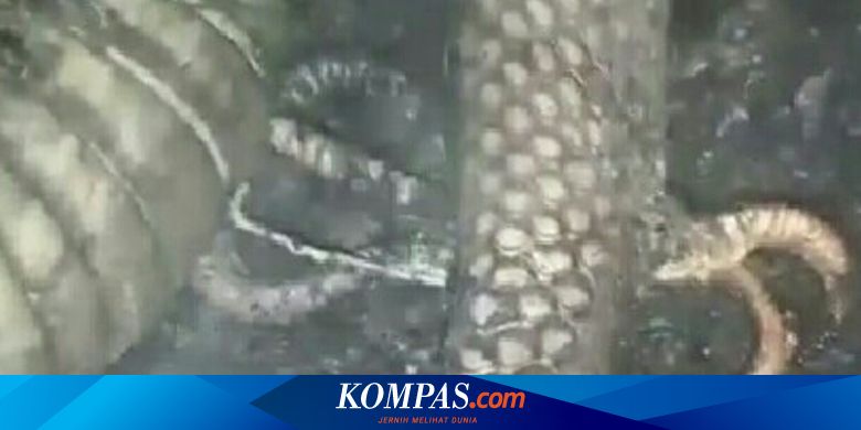 Leggings ichida porno kichik eshak