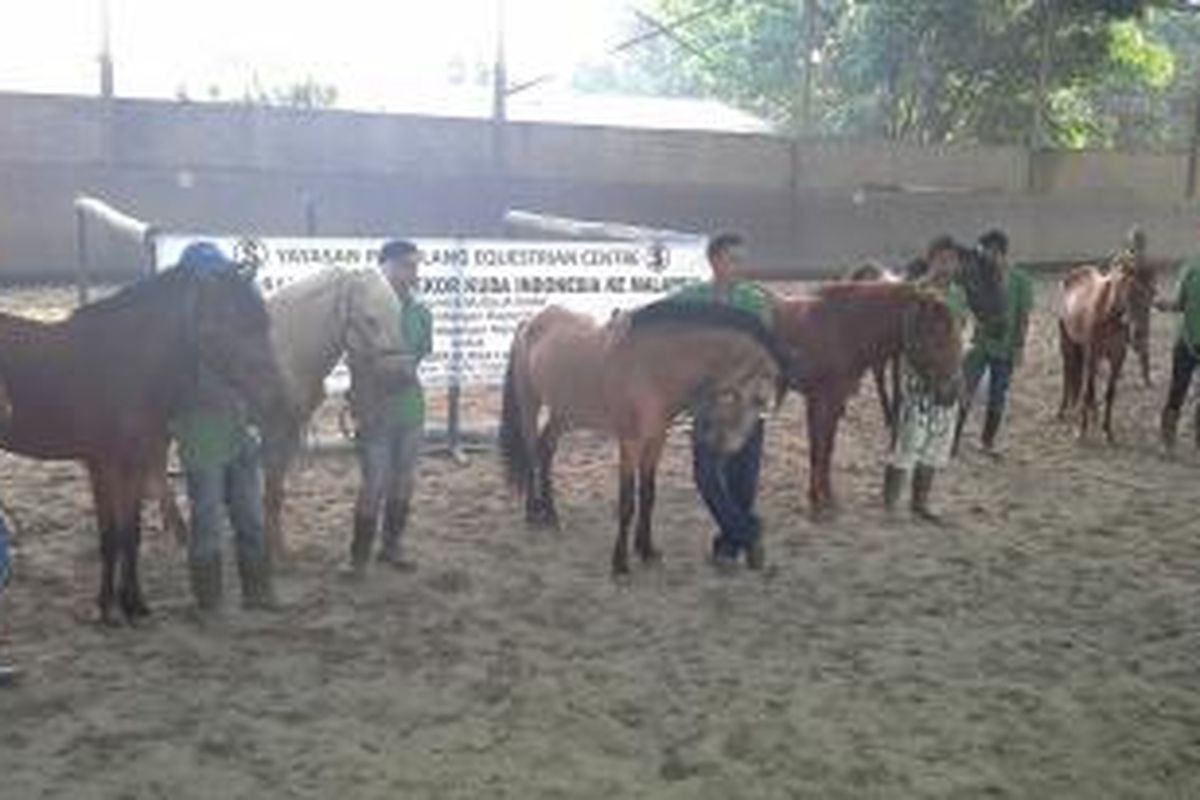 Kuda-kuda yang akan diekspor ke Malaysia di peternakan kuda Yayasan Pamulang Equestrian Centre, Tangerang Selatan, Jumat (25/7/2014).