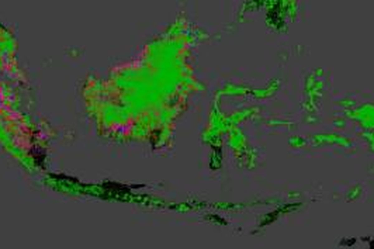 Wajah hutan Indonesia berdasarkan pemetaan Google Earth dan University of Maryland.