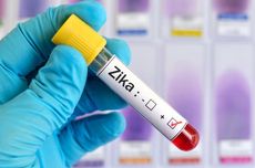 WHO Sebut Virus Zika Berpotensi Menjadi Pandemi, Penyakit Apa Itu?