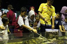 Asyik Berkenalan dengan Biota Laut Saat Liburan di Seaworld Ancol