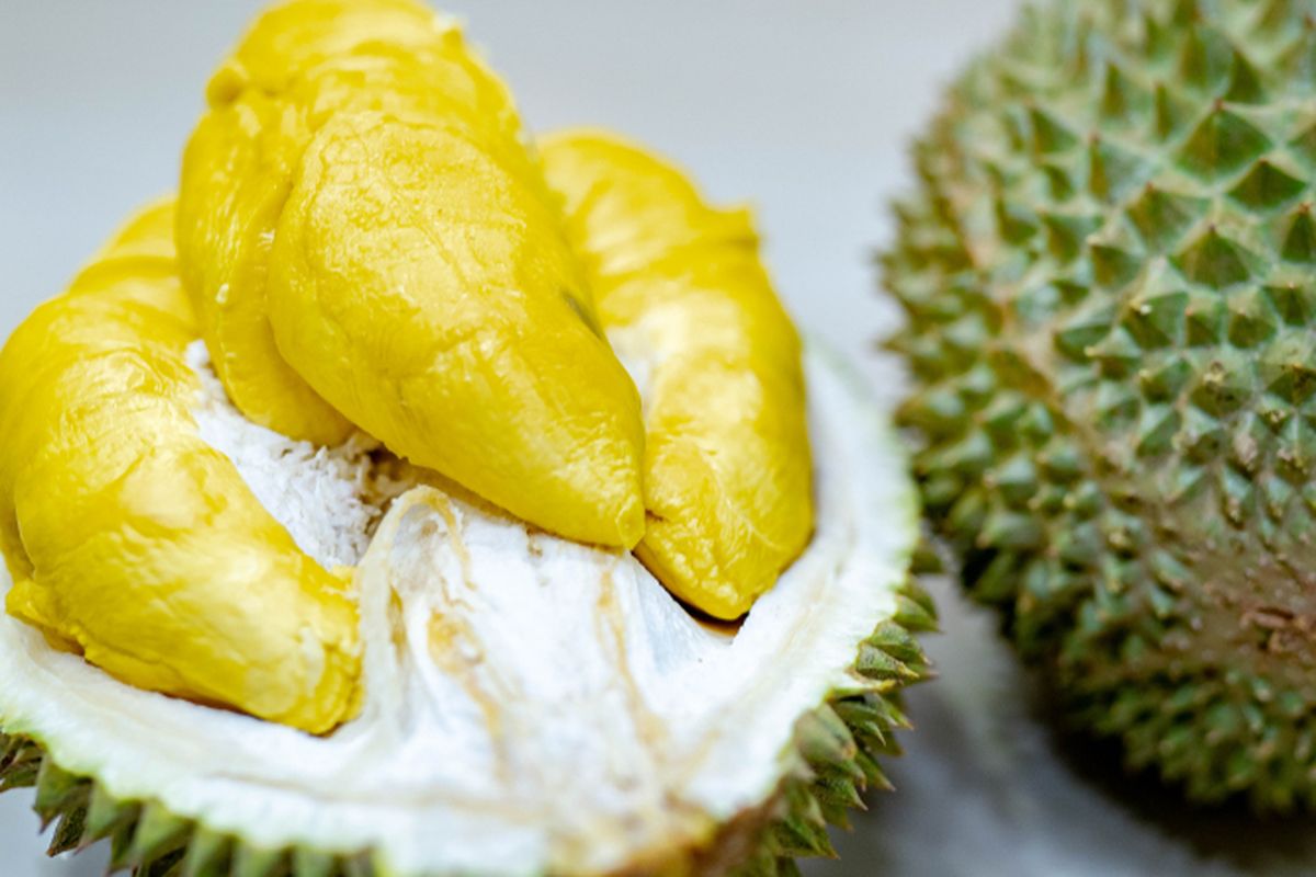 Ilustrasi durian musang king.