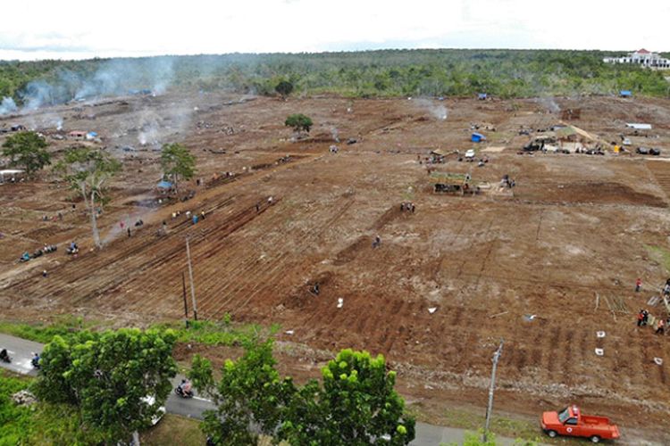 Pembukaan lahan di Maluku Tenggara. 