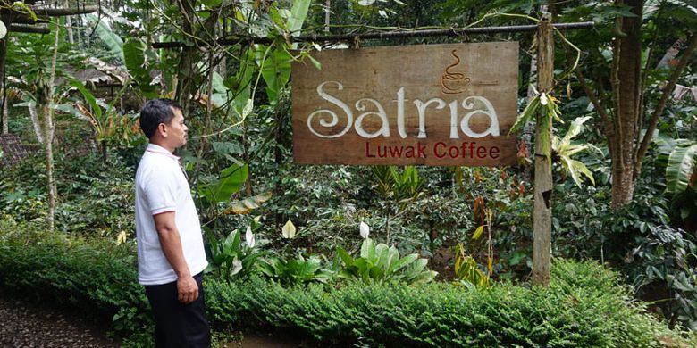 Satria Agrowisata di Jalan Raya Kintamani, Tampaksiring, Kabupaten Gianyar, Bali, Kamis (6/9/2018). Di sini wisatawan dapat menemukan tempat ngopi sekaligus belajar seluk beluk kopi. 