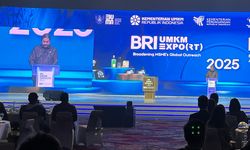 Sebut BRI Paling Banyak Hapus Tagih Kredit UMKM, Menko Airlangga: Rekor Ini Tidak Dicatat...