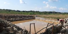 Berkat Embung, Stok Pangan di Desa Pandulangan, Hulu Sungai Aman dan Terjaga Selama Lebaran