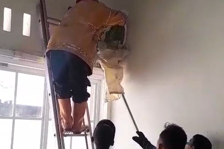 Sudah 4 Kali Kera Liar Teror Permukiman di Sragen, Terbaru Masuk Rumah Warga Miri