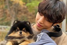 Yeontan, Anjing V BTS Telah Jalani Dua Kali Operasi dalam Setahun