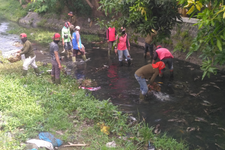 Petugas dari Dinas PUPR Kota Kediri mulai membersihkan bangkai ikan di Sungai Kresek, Sabtu (22/12/2018)