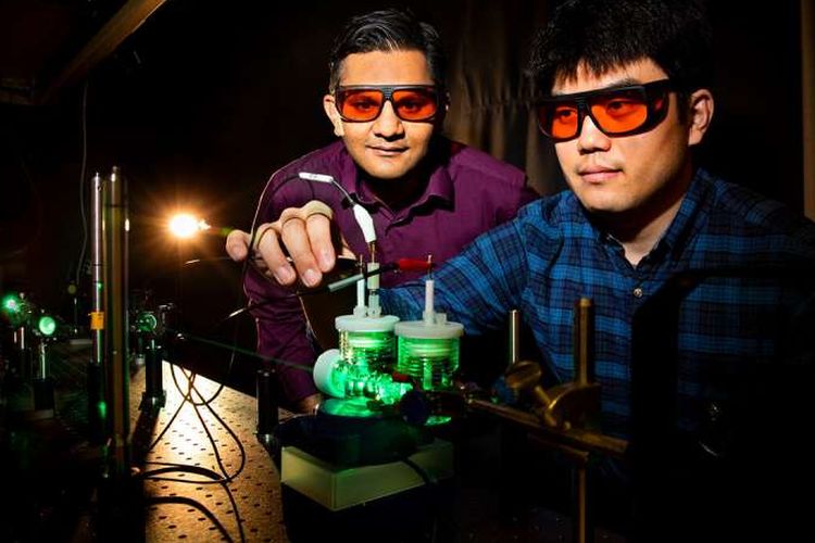 Eksperimen fotosintesis buatan guna menghasilkan bahan bakar hidrokarbon cair oleh peneliti dari University of Illinois, Prashant Jain dan Sungju Yu