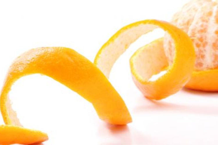 Ilustrasi kulit jeruk 
