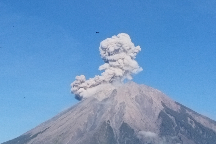 Penjelasan PVMBG soal Gunung Semeru Meletus pada Awal Tahun, Bukan Akhir Tahun