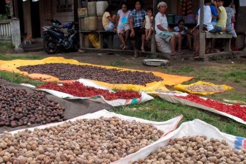 Rempah-Rempah, Alasan Bangsa Eropa Datang ke Indonesia