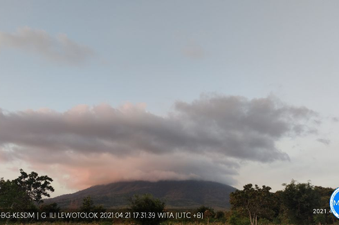 Gunung Ile Lewotolok Berstatus Siaga, Masyarakat Diimbau Tak Percaya Hoaks Tentang Erupsi