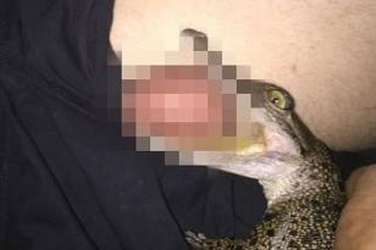 Foto seekor buaya tengah menggigit testis seorang pria ini dikirim seorang perempuan tak dikenal ke kantor redaksi harian NT News di Darwin, Australia.